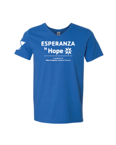 ADULT Esperanza Staff V Neck - Gildan 64V00 Royal