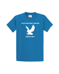 Youth Family Services Eagles Nest - PC61 Sapphire