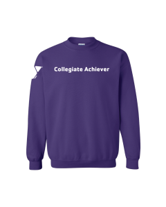 Collegiate Achiever Crewneck - 18000